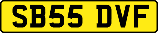 SB55DVF