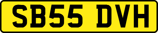 SB55DVH