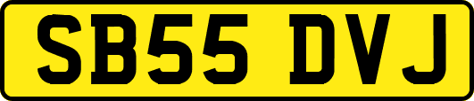 SB55DVJ