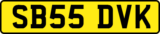 SB55DVK