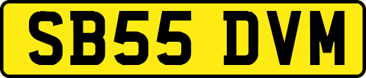 SB55DVM