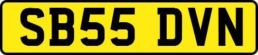 SB55DVN