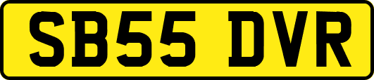 SB55DVR