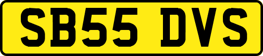SB55DVS