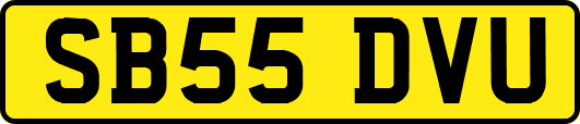 SB55DVU