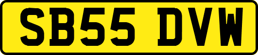 SB55DVW