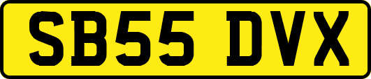 SB55DVX