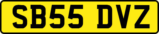 SB55DVZ