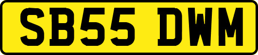 SB55DWM
