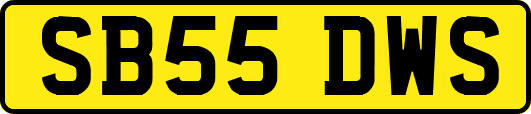 SB55DWS