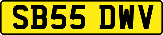 SB55DWV