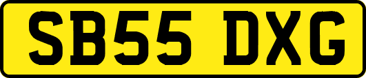 SB55DXG