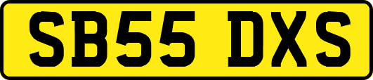 SB55DXS