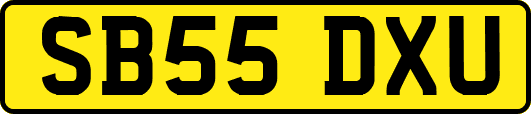 SB55DXU