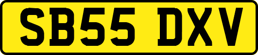 SB55DXV