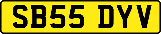 SB55DYV