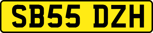 SB55DZH