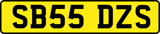 SB55DZS