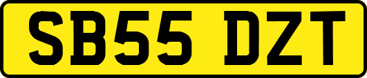SB55DZT