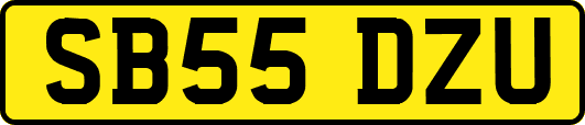 SB55DZU