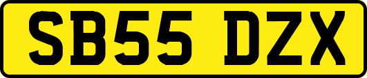 SB55DZX