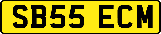 SB55ECM