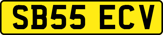 SB55ECV