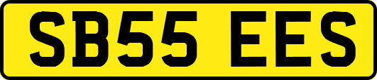 SB55EES