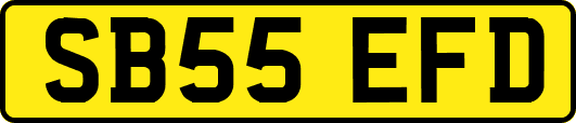 SB55EFD
