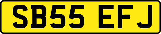 SB55EFJ