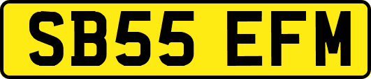 SB55EFM