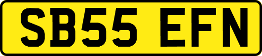 SB55EFN