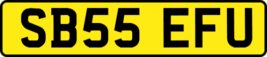 SB55EFU