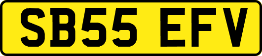 SB55EFV