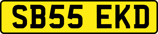 SB55EKD