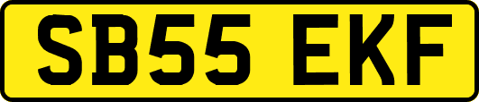 SB55EKF