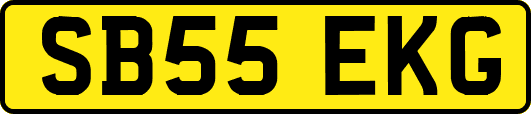 SB55EKG