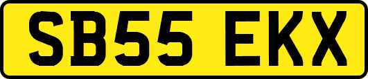 SB55EKX