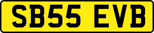 SB55EVB