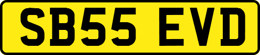 SB55EVD