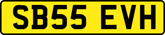 SB55EVH
