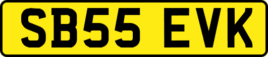 SB55EVK