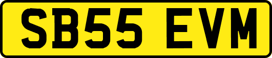 SB55EVM