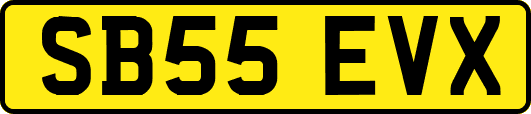 SB55EVX