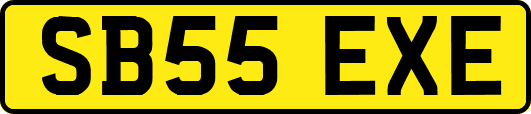 SB55EXE