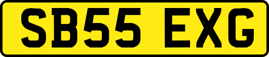 SB55EXG