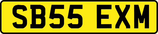 SB55EXM