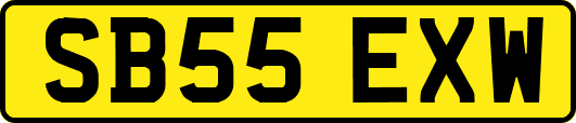 SB55EXW