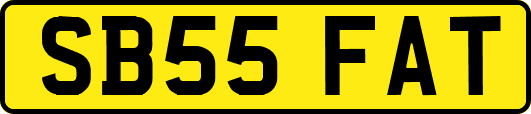 SB55FAT