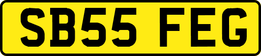 SB55FEG